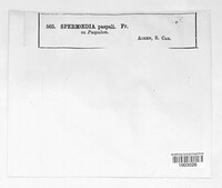 Image Associated With the Occurence